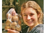 HAYWARD KIWIFRUIT (GREEN) 1KG Bag Katikati Grown